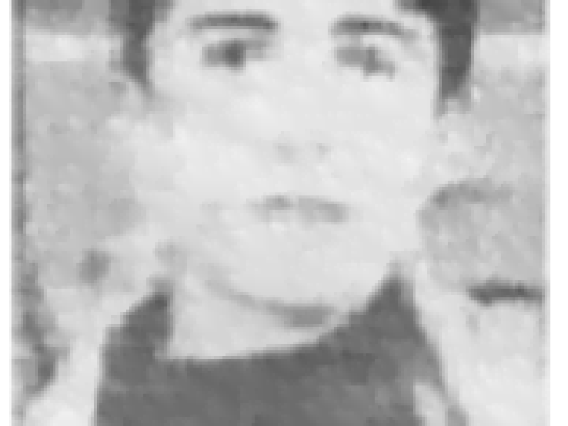 Heddad Nadir